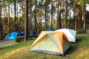 Photo credit: 123RF / Supot Suebwongsa