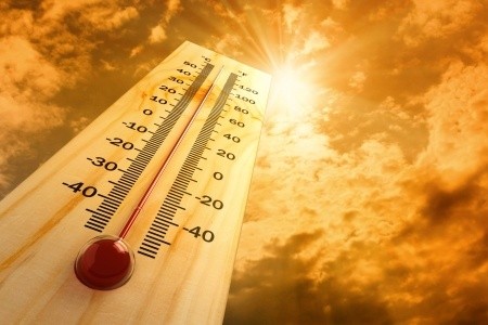 Beat the Heat: Summer Heat Safety Tips