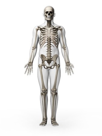 bone health