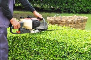 gardening